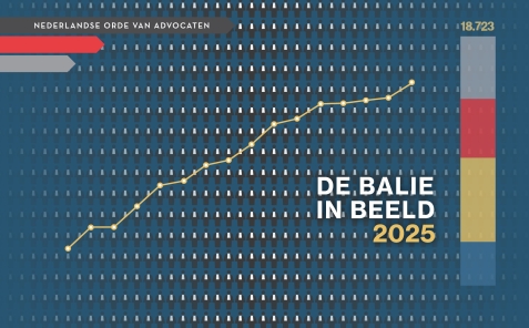 Balie in Beeld 2025