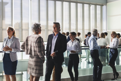 Toegelaten vrije beroepen