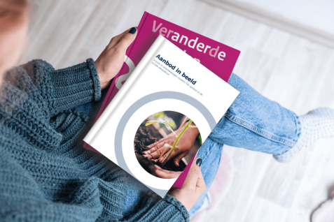 Het rapport van de Commissie Van der Meer II (maart 2025) en het rapport Aanbod in Beeld (maart 2026) benoemen de stand van de sociale advocatuur in Nederland en de noodzaak om hiernaar te handelen. 