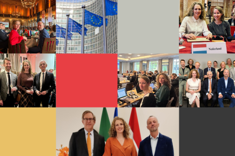 WP_T4_internationale activiteiten NOvA