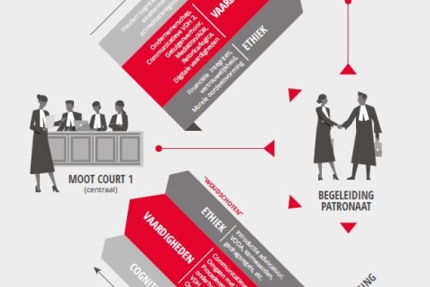 BA2020 hoofdstructuur infographic