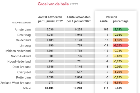 Infographic groei van de balie 2022.2