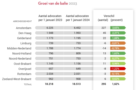 Infographic Groei van de balie 2023