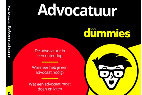 Kleine Advocatuur voor Dummies 3D