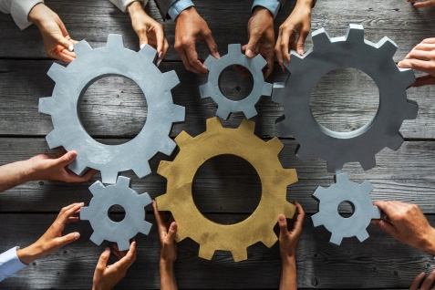 Samenwerken binnen de balie