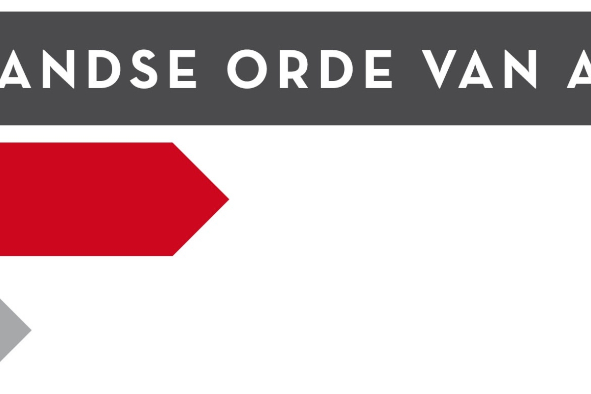 Logo Sociaal Werk Nederland