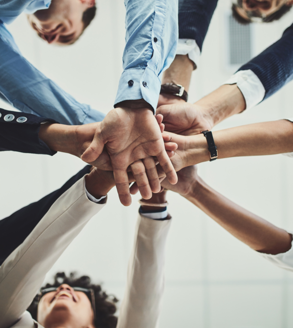 Investering sociale advocatuur