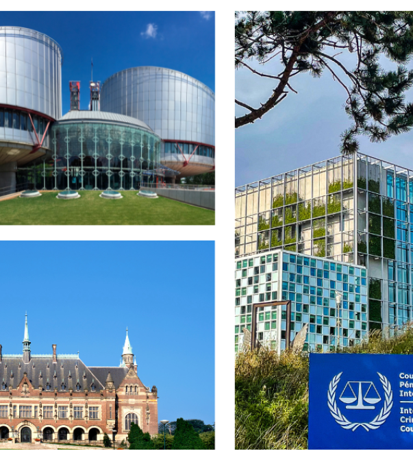 Verschillende europese gerechtshoven