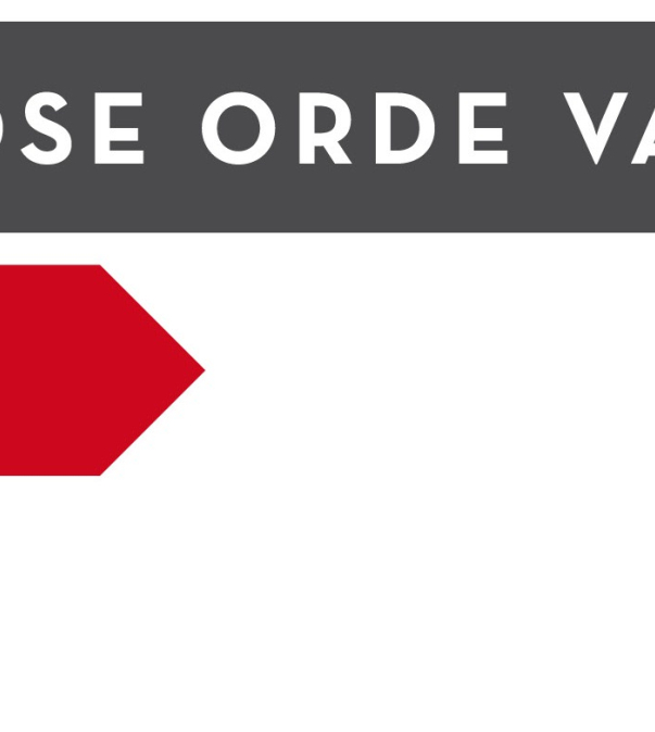 Logo Sociaal Werk Nederland