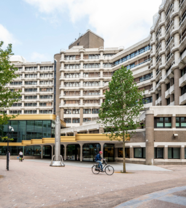 NB_tweede kamer_600x400