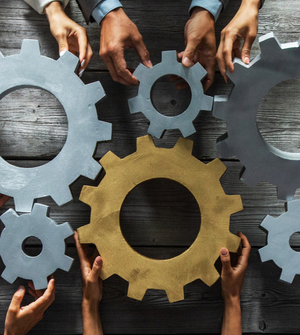 Samenwerken binnen de balie