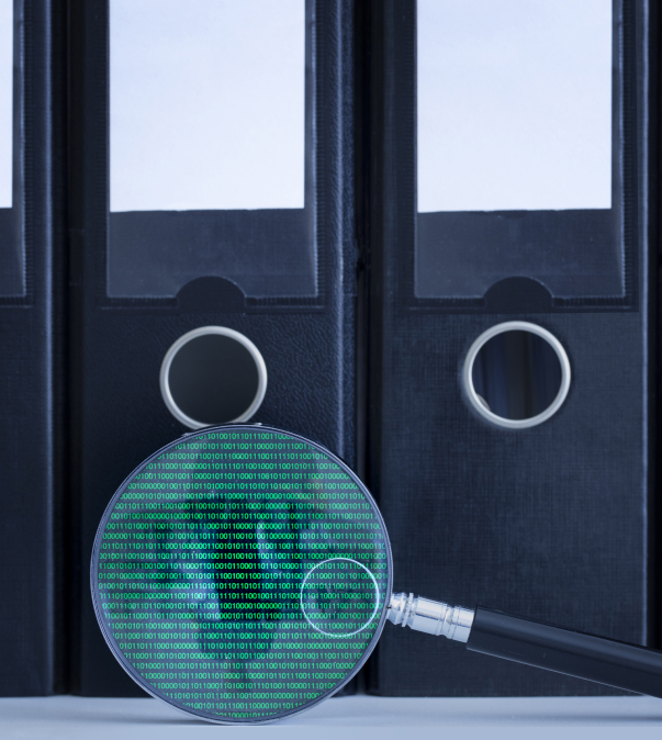 Toezicht - iStock-1264458841