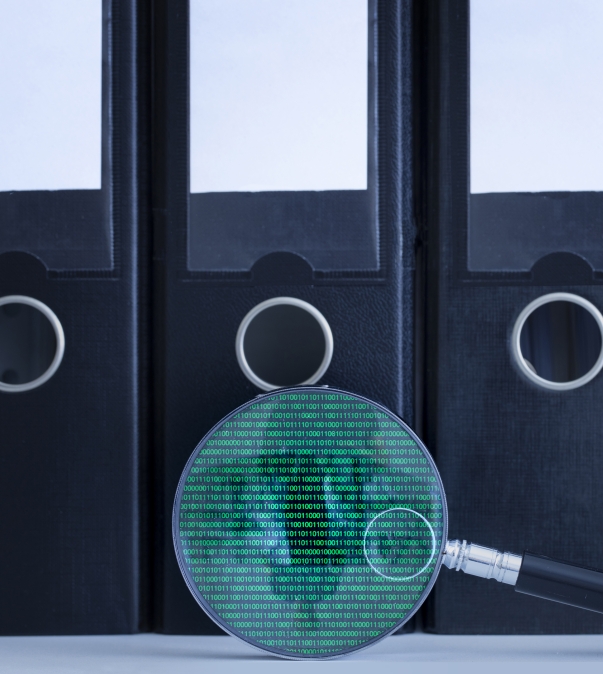 Toezicht - iStock-1264458841